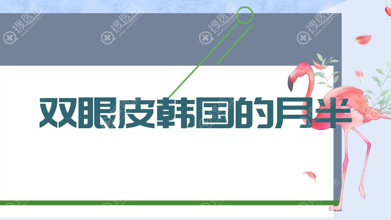 双眼皮韩国的月半 韩国js双眼皮