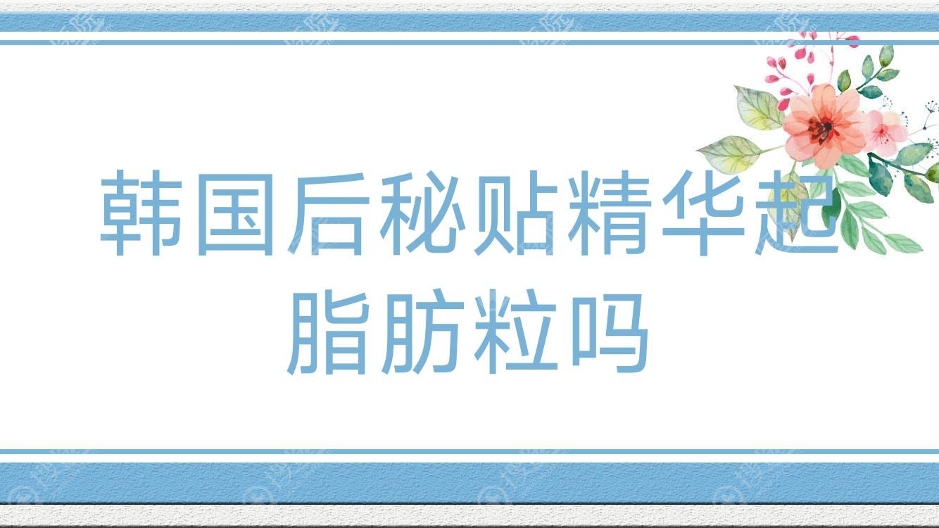 韩国后秘贴精华起脂肪粒吗(后秘贴精华成分表)