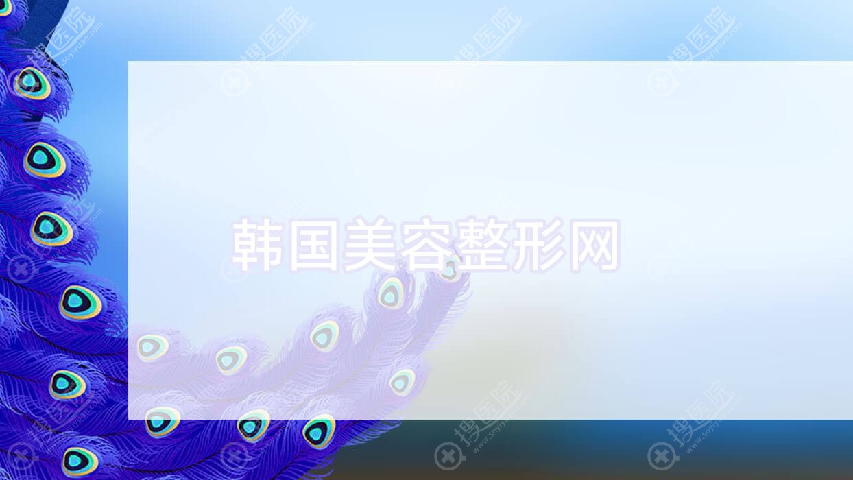 韩国美容整形网 韩国整形美容协会